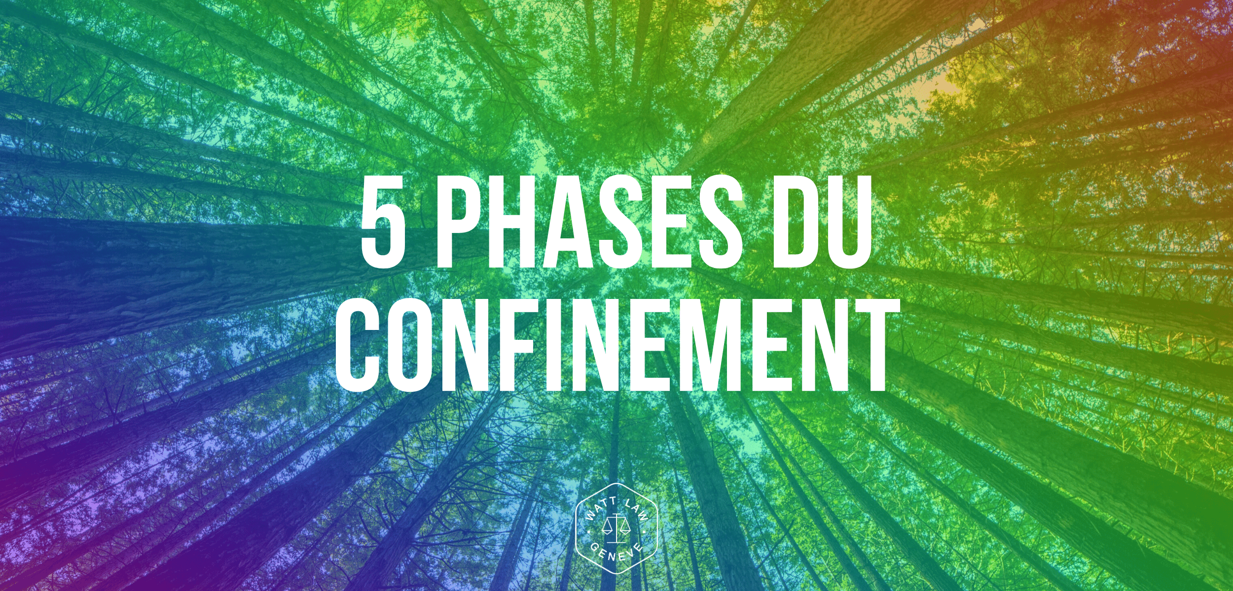 Phases du confinement